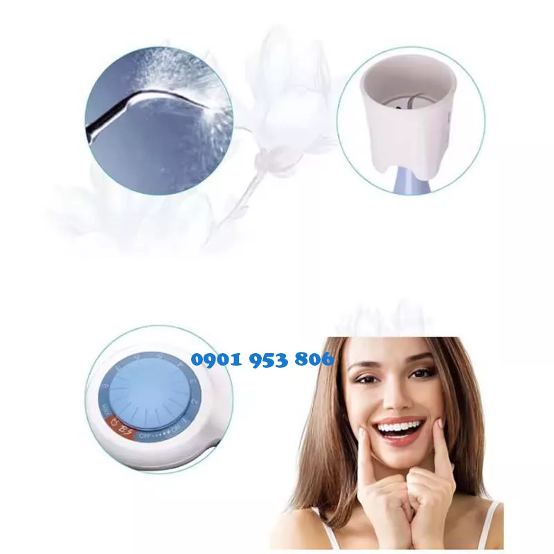 máy cạo vôi răng thú y